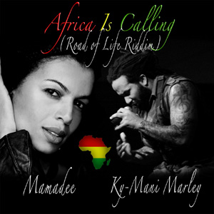 Africa Is Calling (Road of Life Riddim) cover